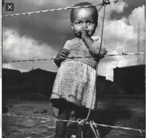 956B3C1C-3E5B-49E3-9EC3-DEF156CB5F90