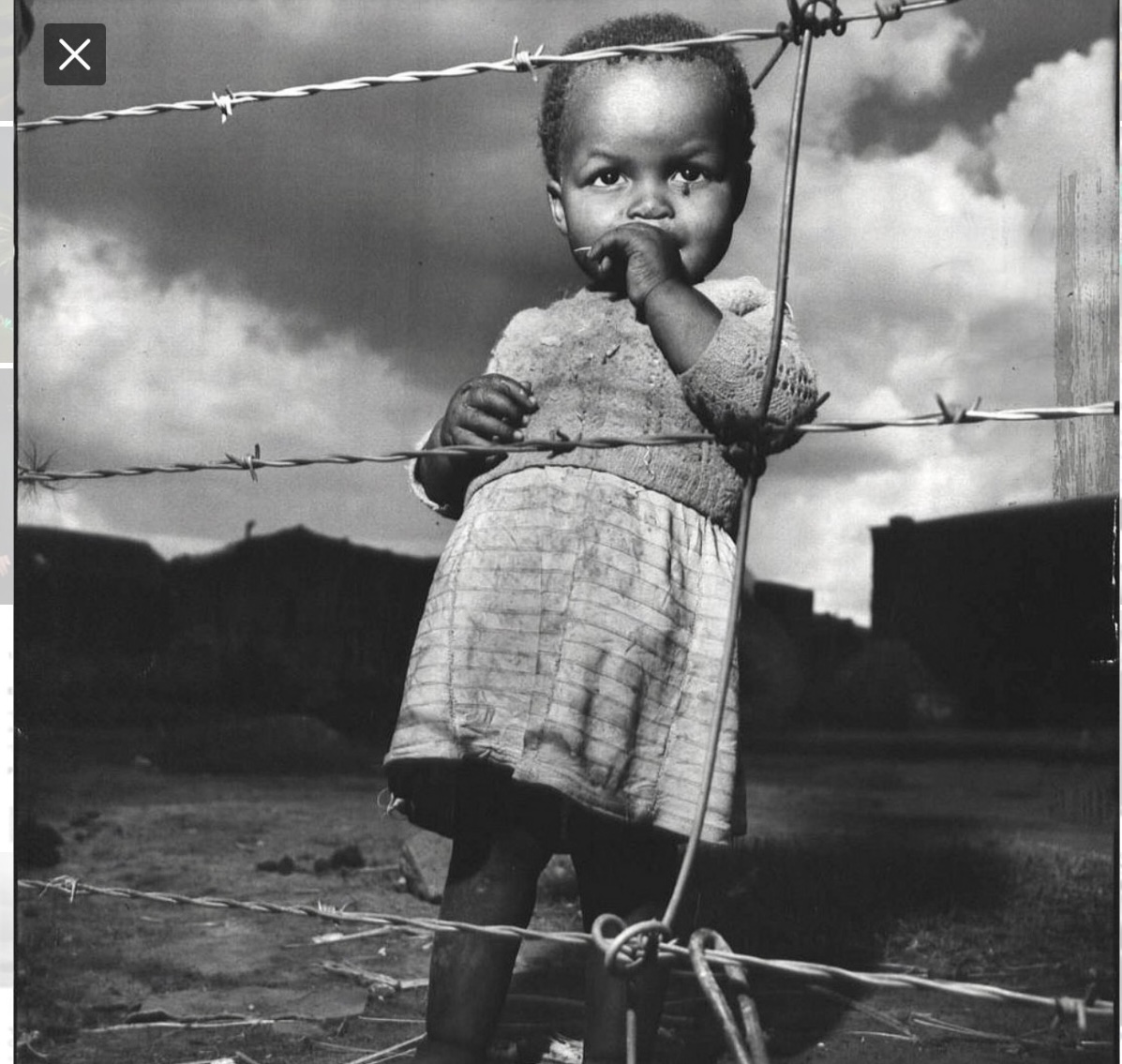 956B3C1C-3E5B-49E3-9EC3-DEF156CB5F90