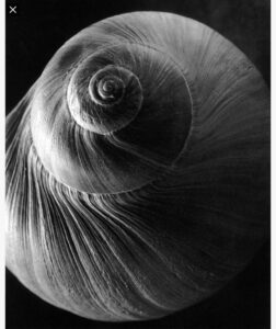 B4B4ED3E-3C62-43AD-932F-E4E135786491