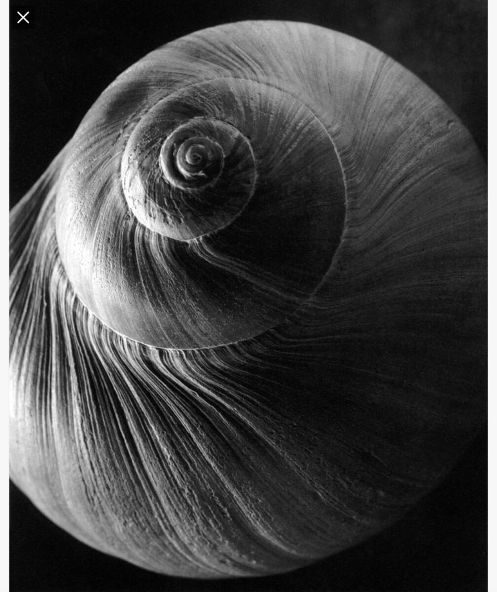 B4B4ED3E-3C62-43AD-932F-E4E135786491